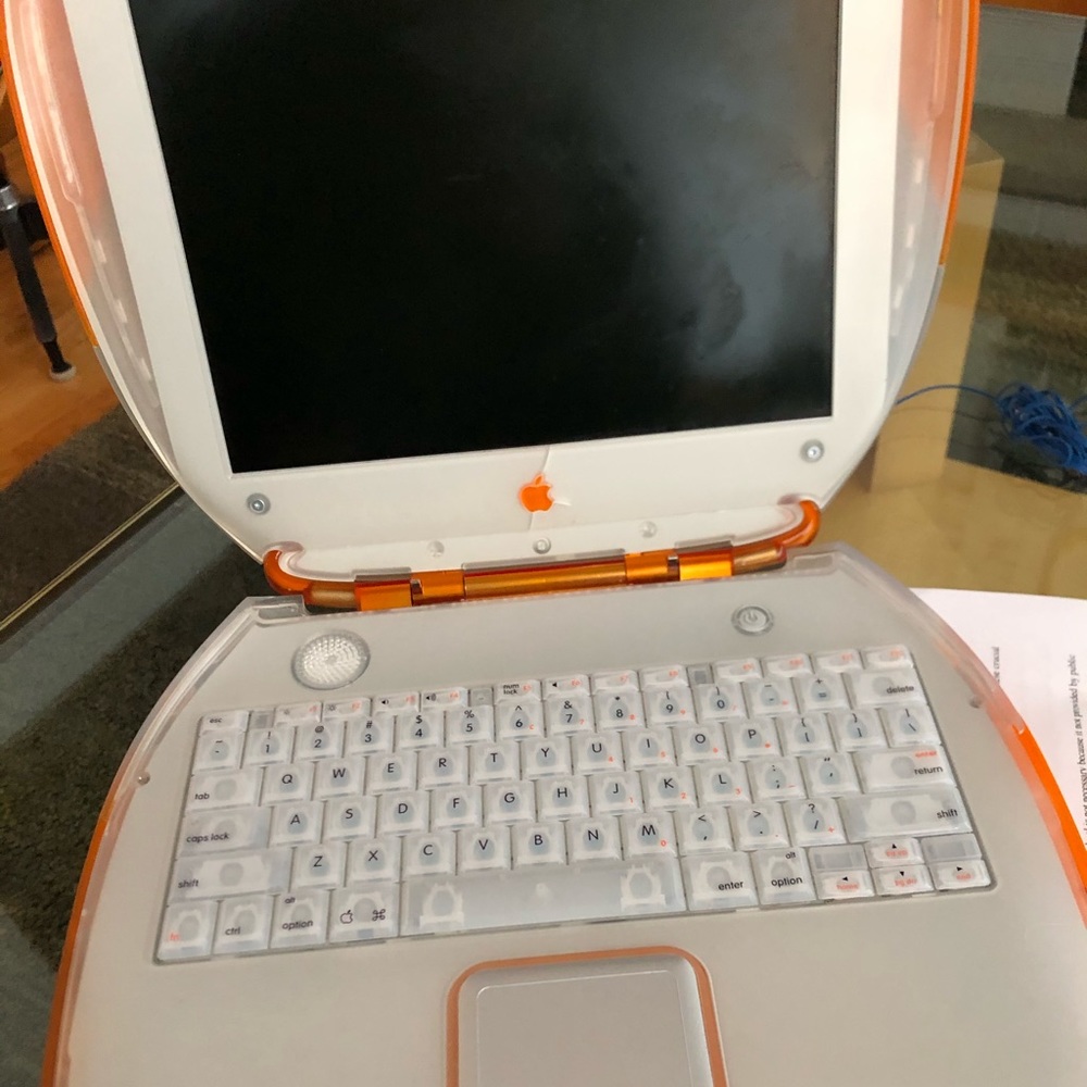 ONE OF THE FIRST APPLE IBOOKS ANTIQUE